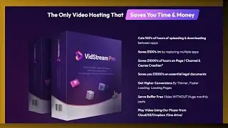 Turn Your Videos into Works of Art with VidStream Pro Professional!