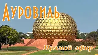 Ауровиль   прямой эфир!