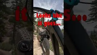It Goes... || #shorts #mtb #linechoice
