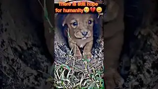 Rescuing a Freezing Puppy💔😭💔 #motivation #love #dog