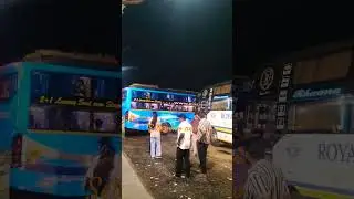 SETC VOLVO NEW #setc #tnstc #bus #volvo #viral