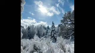 Granium (White Plume_part2_4,5,6, tracks) official presentation platinum active music 