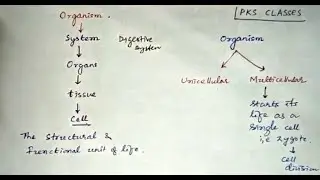 Unicellular Vs Multicellular Organisms #unicellular #multicellular #pharmacology #cell #cellbiology