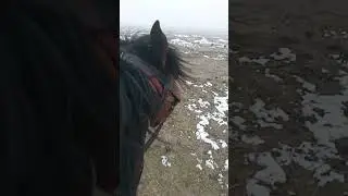 23 февраля 2024 г.