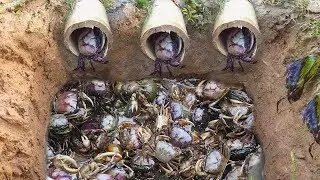 Top 5 video 2019 - Amazing Man Make 5 Fish Trap Crab Trap & Eel Trap in Cambodia Hunting n Traps