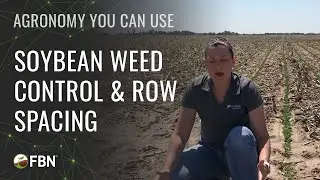 Herbicide Isn&rsquo;t The Only Way: Soybean Weed Control & Row Spacing