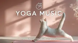 Yoga Music 🧘&zwj;♀️ | Cat Doing Yoga (Cat Pose) | Relaxing Music for Mindfulness, Stress Relief #525