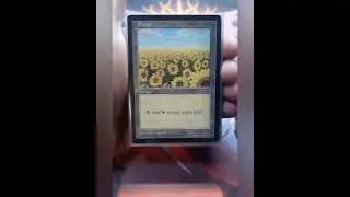 Full Set APAC Lands &ndash; Magic: The Gathering #mtg #apaclands
