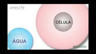 Nutri&ccedil;&atilde;o Celular