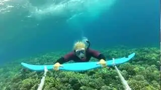 Dive Wing Extreme Snorkeling