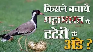किसने बचाये महाभारत में टटेरी के अंडे? Who Saved The Tattari Eggs in The Mahabharata | SATLOK ASHRAM