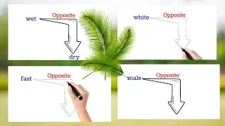 Do you know opposite words? ? #oppositeword #vocabulary #learnenglishtogether