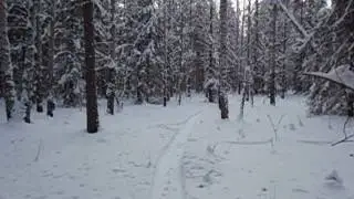 MOV02114