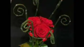 Suicidal Romance - Poisoned Kiss