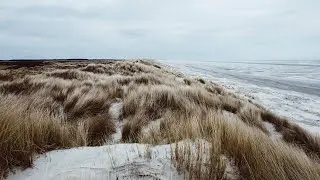 Windy Sand Dune Beach Ambience | Ocean, Storm, Grass, Wind, Waves | White Noise ASMR | 12 Hours