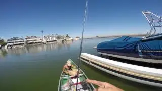 discovery bay flippin docks and chasing schooling striper, topwater, swaver, and swimbaits