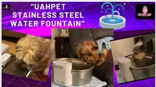 Uahpet Stainless Steel Water Fountain 