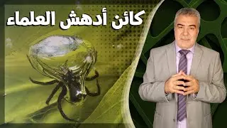 كائن عجيب يعيش معظم حياته داخل فقاعة مائية..!