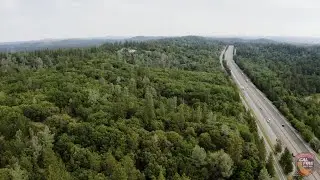 Forest Health: Partnerships