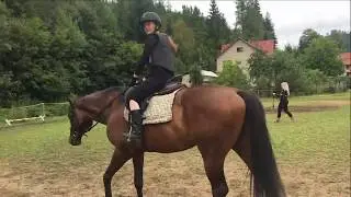 Tábory s koňmi 2019
