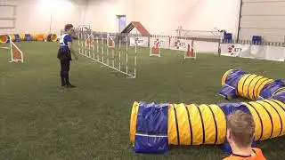 Vekara Agility , lyh.Collie , Zorya