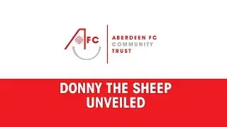 AFCCT: Donny the Sheep makes his first Pittodrie appearance!