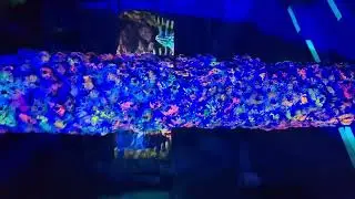 Aquarium appraisal#rahulsaw #aquarius Bengaluru famous places 