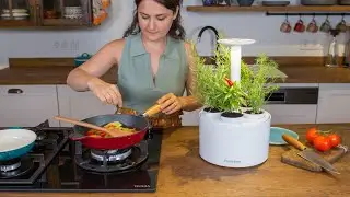 Discover the Future of Gardening with Plantone 2.0 - The Ultimate Smart Plant Pot! 🌿🌱