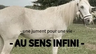 - UNE JUMENT POUR UNE VIE - MIEUX COMPRENDRE POURQUOI ET COMMENT J’EN SUIS ARRIVÉ LÀ.