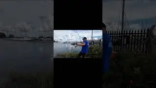 mullet fishing on the river hamble #shorts