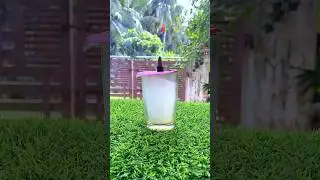 Floating Smoke Experiment 😱🤭 #shorts #jonlakhs #trending