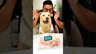 This Birthday Surprise Ended in Revenge 😱🐾