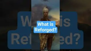 What is Guild Wars: Reforged? 🤔
