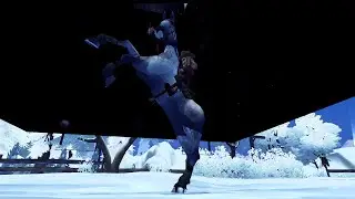 Nilmers Highland house glitch (star stable)