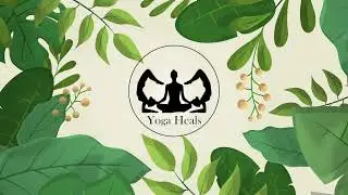 Yoga Heals | Connect with us at Yoga Heals to heal your body and mind.🌸