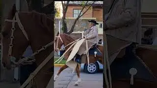 El abuelo mas campero de la region y su alazan desfilando 🐴❤️🇦🇷