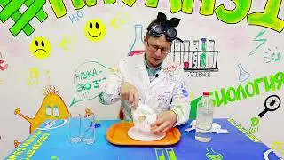 Супер абсорбент. Эксперимент №34