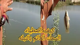كيفيه اصطياد السمك العائم بالنبله وتعلم كيفيه التصويب على الهدف