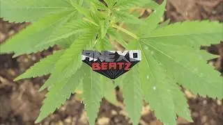 I Smoke - Anexo Beats Instrumental Trap/ Hip Hop