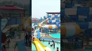 Dolphin 🐬the water park in agra #shortvideo #viralvideo #wate #rpark #youtubeshorts