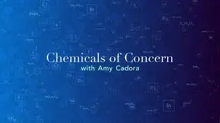 Personal Care Products | Chemicals of Concern