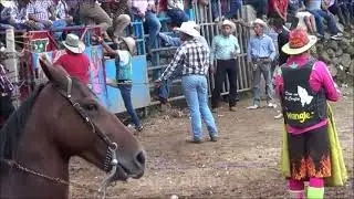 LAS TOPADERAS DE SAN PEDRO LAGUNILLAS 2018