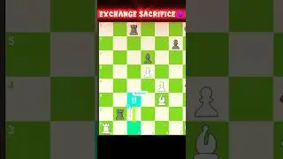 EXCHANGE SACRIFICE!! 😈@Tomatoo._._01 #chess #chesscom #shorts #edit #youtubeshorts #brilliant #fun