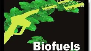 Biofuels 1