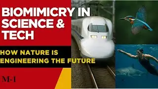 Biomimicry in Science & Tech: How Nature Is Engineering the Future#biomimicry # Science Documentary