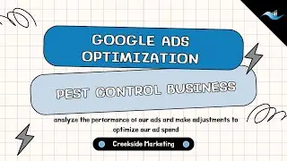Optimization Process for Google Ads, Pest Control Business