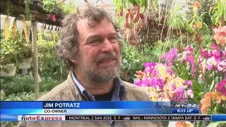 Potratz Floral Shop 100th Anniversary