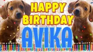 Happy Birthday Avika! ( Funny Talking Dogs ) What Is Free On My Birthday