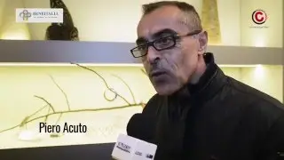 CREATIVITY OGGETTI IL DIVIETO DI CACCIA