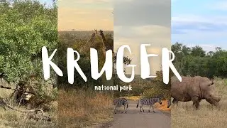 Kruger National Park | Our South Africa Safari